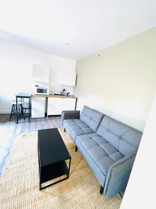 Appartamento Studio Tout Equipe Au Calme Et Chaleureux Saint-Etienne  Esterno foto