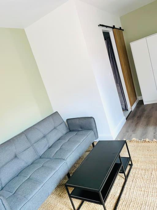 Appartamento Studio Tout Equipe Au Calme Et Chaleureux Saint-Etienne  Esterno foto
